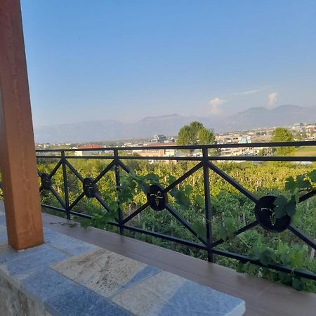 Vila Shehi Guesthouse And Winery Mucaj Exteriér fotografie