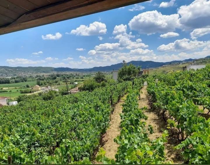 Vila Shehi Guesthouse And Winery Mucaj Exteriér fotografie